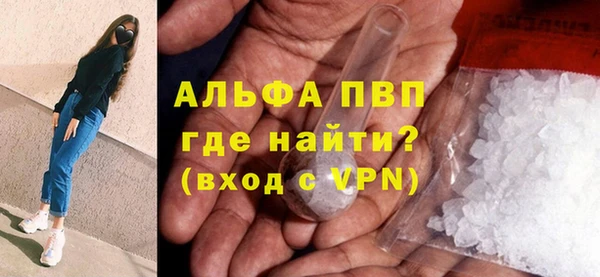 дживик Надым