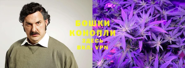 дживик Нефтекумск