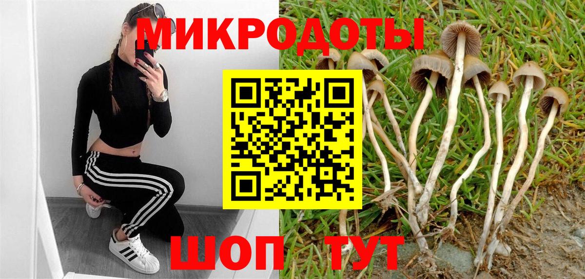 что такое наркотик  Вход с VPN  Благовещенск  Галлюциногенные грибы GOLDEN TEACHER 